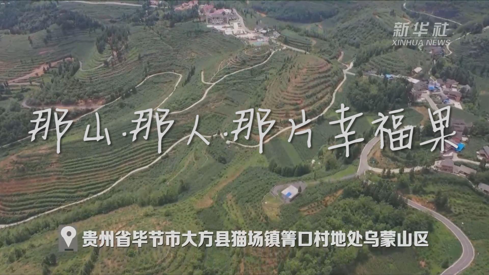 那山&middot;那人&middot;那片幸福果