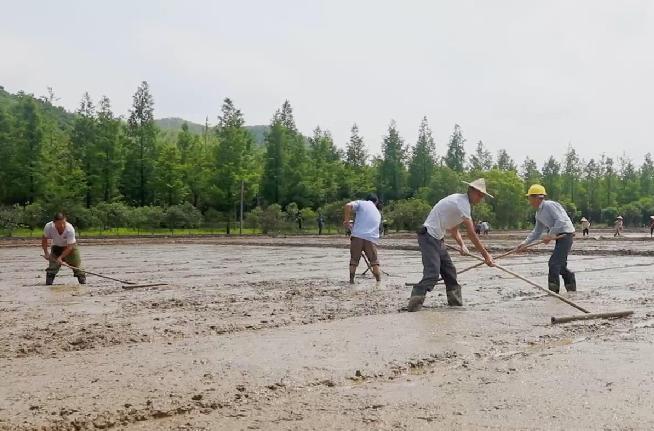 &ldquo;两山&rdquo;理念：绿色发展之路的最强音