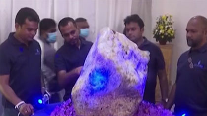 斯里兰卡发现重310公斤天然蓝宝石原石