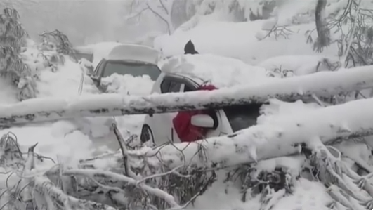 巴基斯坦游客赏雪变悲剧 多人遇难