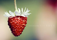 生命之美 上帝之光