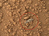 “好奇號”拍到火星表面飛船碎片
