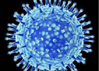 我国科学家破解H7N9病毒感染人奥秘