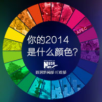 你的2014是什么颜色？