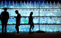 波兰：打造“冰迷宫”欲创世界纪录