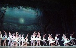 古巴：胖姑娘芭蕾舞团演绎别样舞蹈