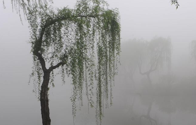 中国多地遭遇大雾天气