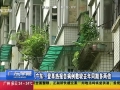 广东：登革热报告病例数较去年同期多两倍
