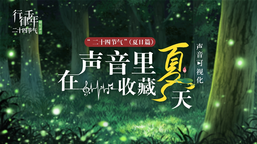 在声音里收藏夏天