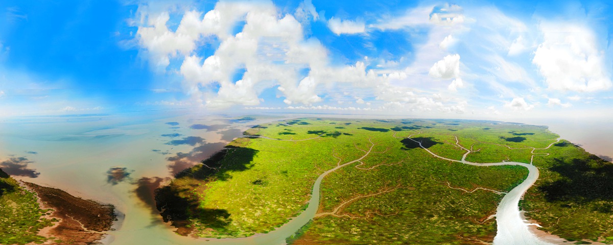 “飞阅”九段沙:江出东海入云处 接天净土画中浮