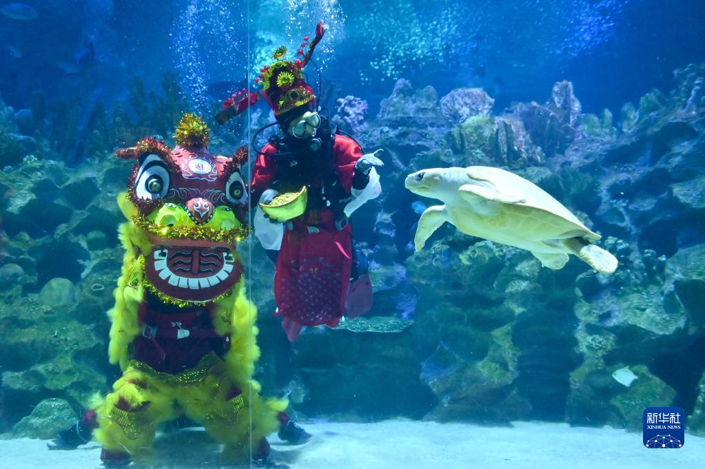 吉隆坡：水中舞狮贺新年-新华网