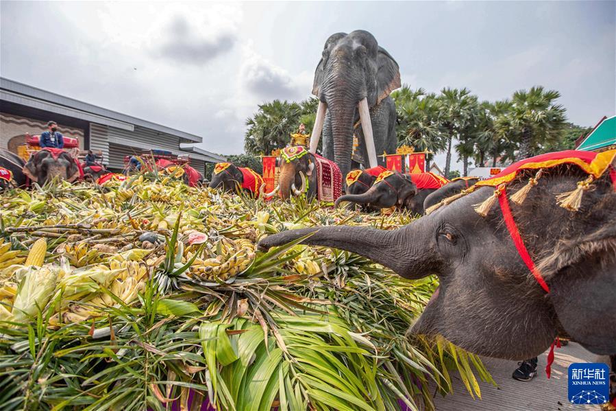 （国际&middot;一周看天下）泰国大象日：大象享用自助餐