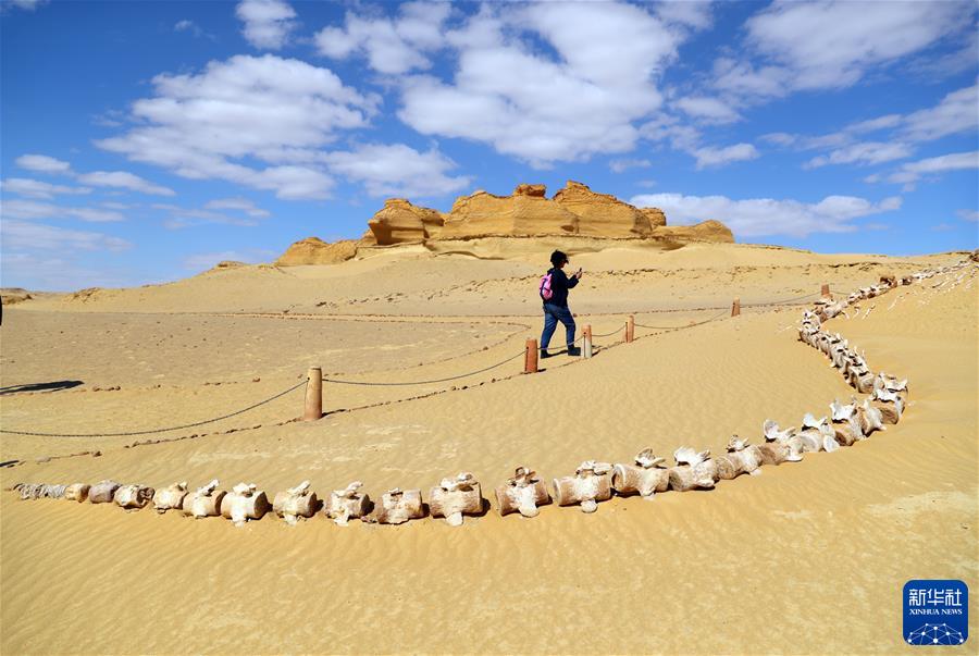 （国际&middot;一周看天下）埃及法尤姆：这里的沙漠有&ldquo;鲸鱼&rdquo;