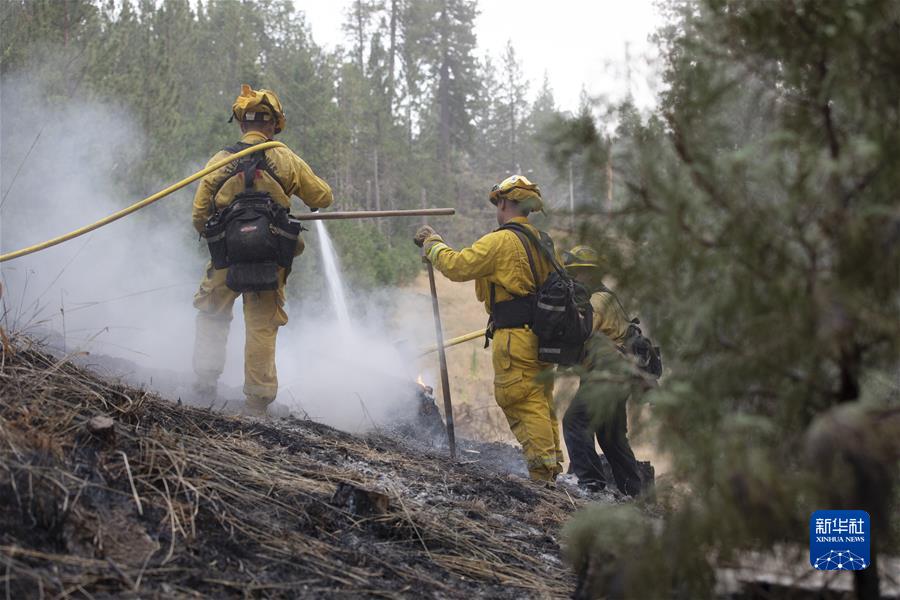 （国际）（4）美国加州山火肆虐