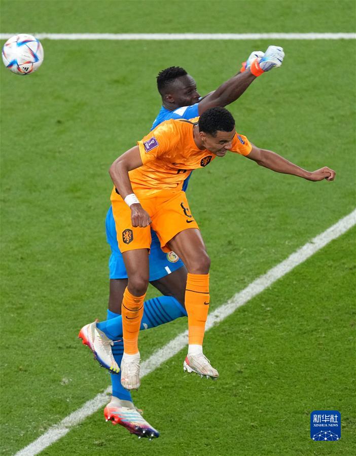 （卡塔尔世界杯）足球&mdash;&mdash;A组：荷兰战胜塞内加尔