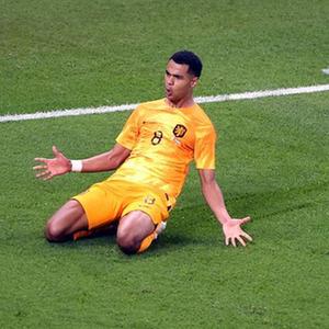  （卡塔尔世界杯）足球&mdash;&mdash;A组：荷兰战胜塞内加尔