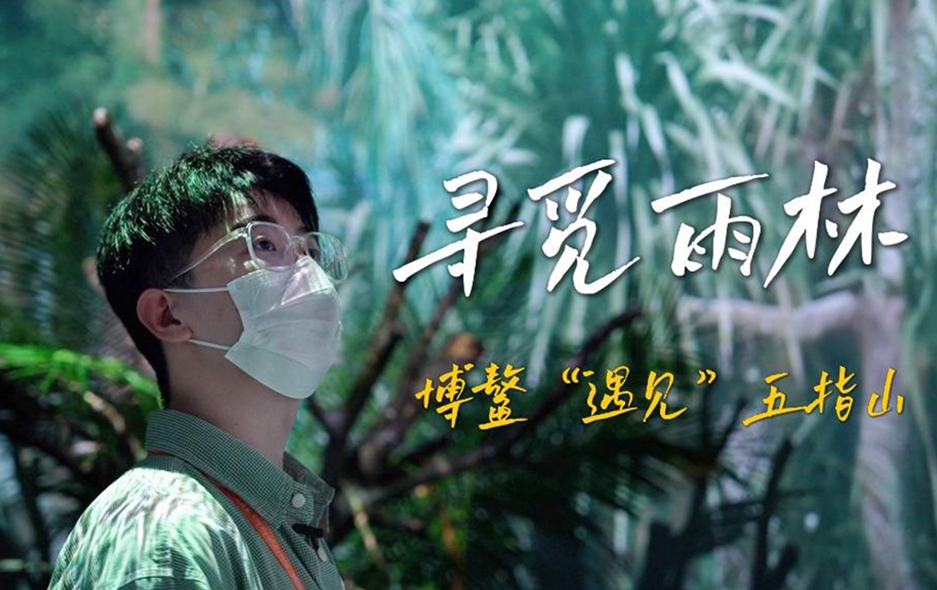 寻觅雨林 博鳌“遇见”五指山
