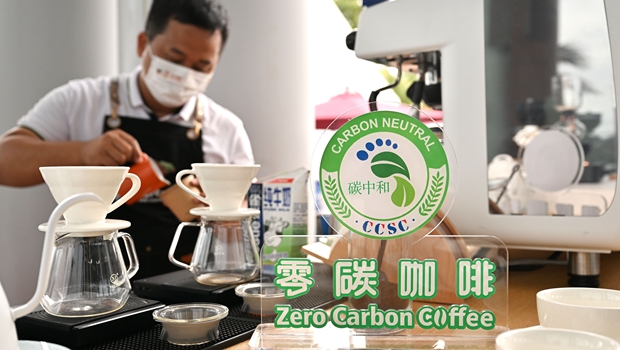 博鳌观察:减碳,从一杯“咖啡”开始