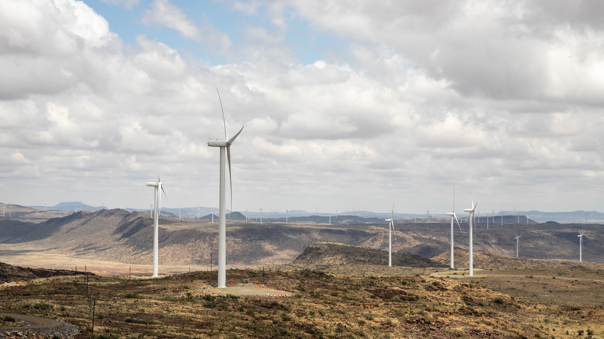 金砖经贸合作共促高质量发展