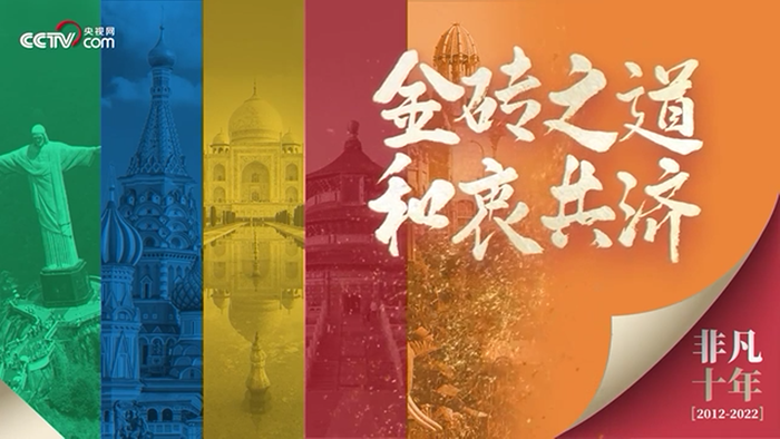 非凡十年丨金砖之道 和衷共济
