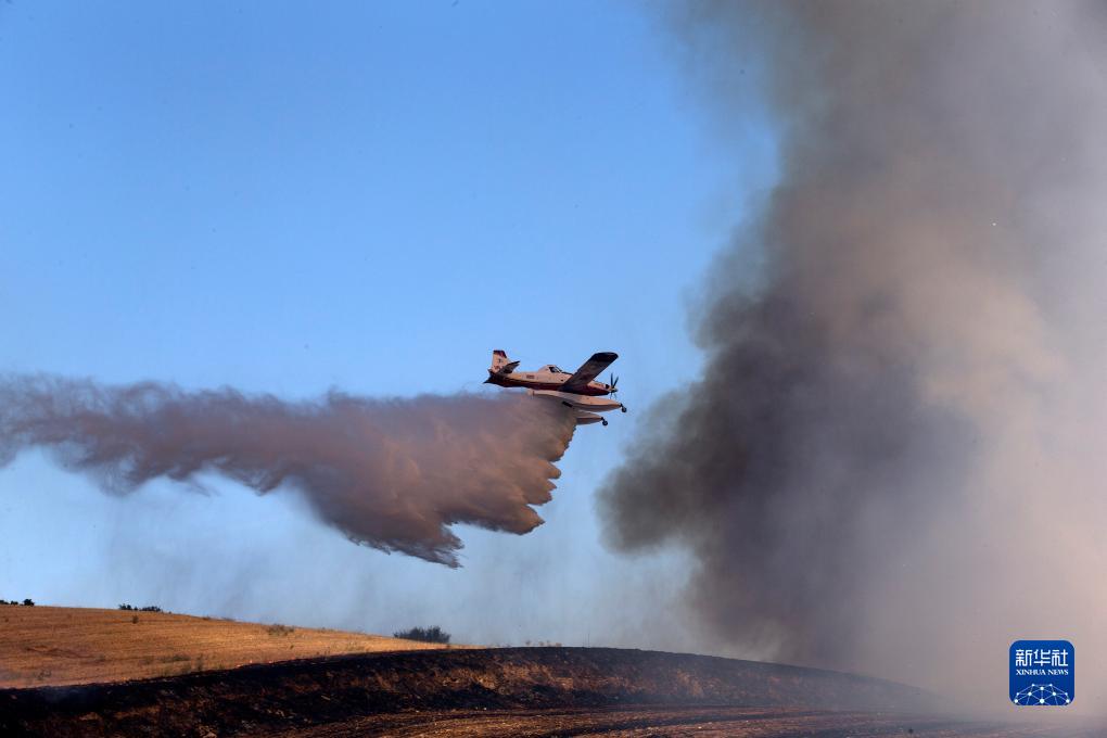 希腊多处野火肆虐