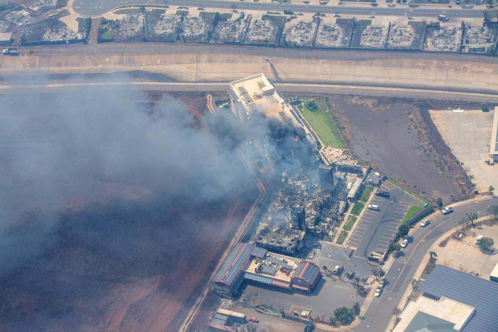夏威夷野火扑来时警报未响 约百人跳海逃生