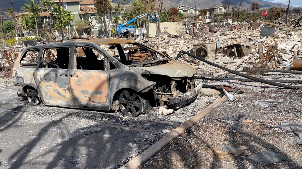 问记者丨夏威夷野火是怎么酿成的？