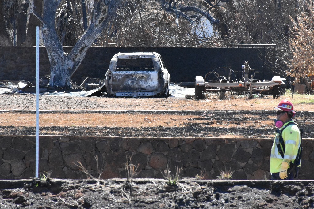 115人遇难　夏威夷野火失踪人数仍难确定