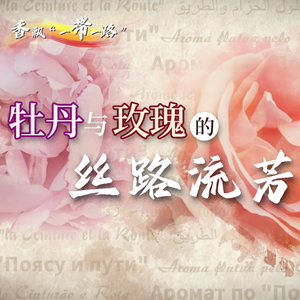 香飘“一带一路”|牡丹与玫瑰的丝路流芳