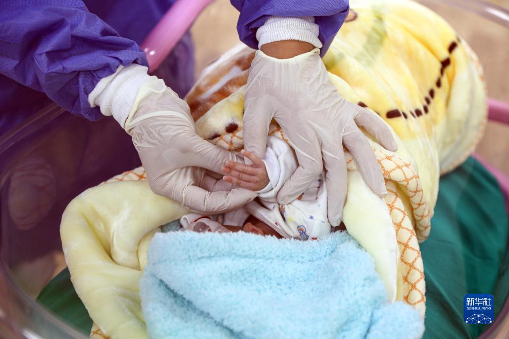 从加沙转移的部分早产儿在埃及医院接受治疗
