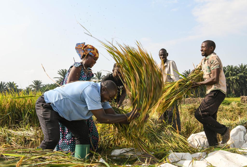新华时评：共建“一带一路”为全球人权治理提供新动力