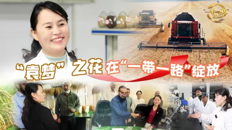 全球连线|“袁梦”之花在“一带一路”绽放