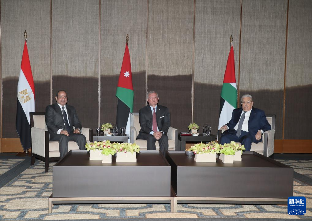 约旦埃及巴勒斯坦领导人讨论巴以冲突等问题