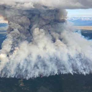 加拿大西部野火过火面积近万公顷-