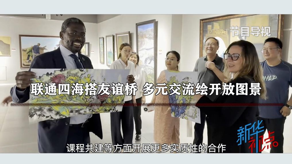 新华视点丨联通四海搭友谊桥 多元交流绘开放图景