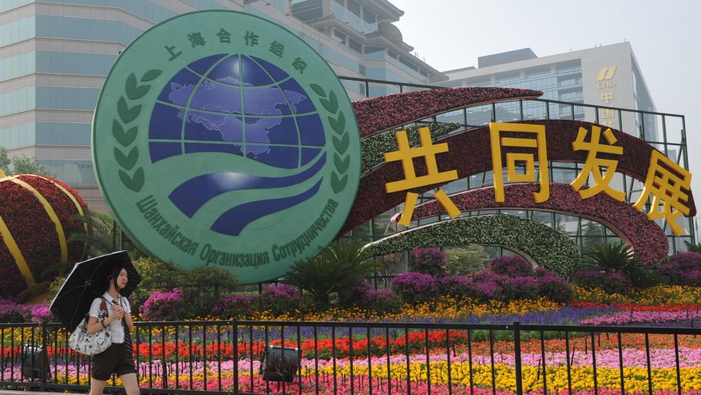 时光相册丨上合25年，一路走来，一路精彩