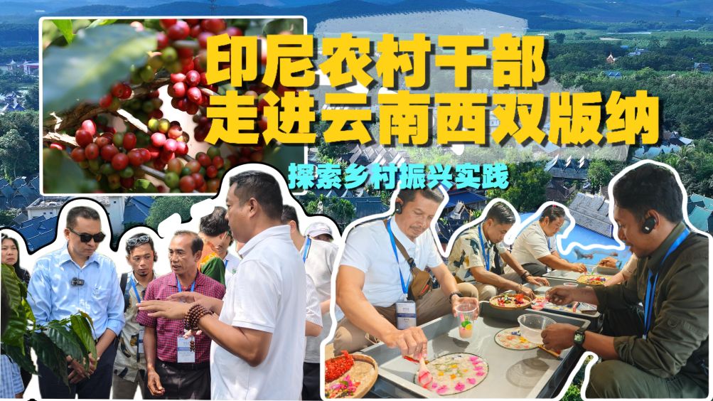 印尼农村干部走进云南西双版纳探索乡村振兴实践