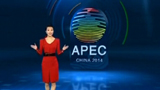 据说APEC