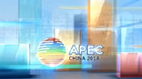 APEC：各方高度关注亚太自贸区建设