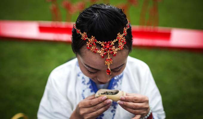 “感知中国”走进柏林世界公园