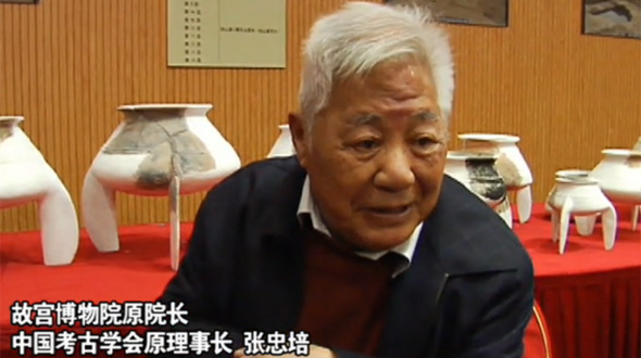 故宫博物院前院长张忠培谈湖州钱山漾文化