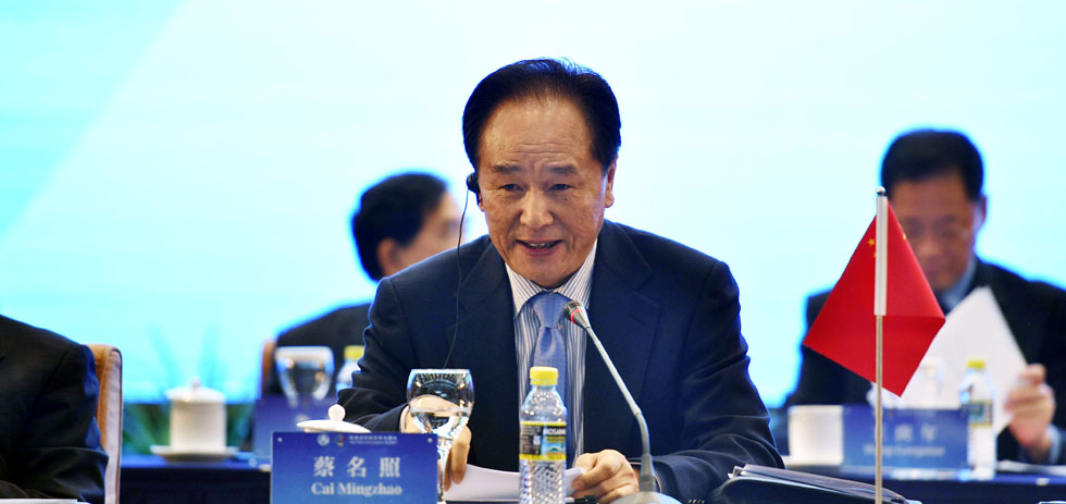 蔡名照宣布峰会开幕