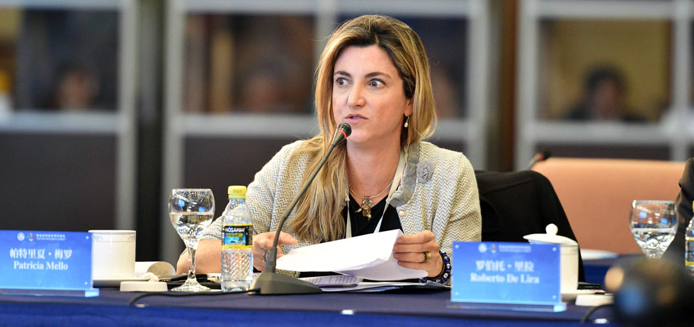 巴西圣保罗页报执行主编梅罗发言