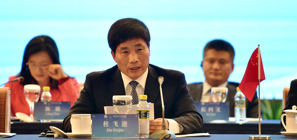 人民日报社副总编辑杜飞进发言