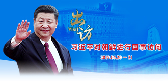 习近平对朝鲜进行国事访问