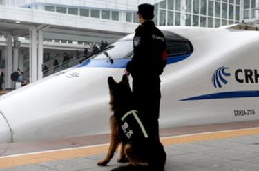警犬&ldquo;神威&rdquo; 护航春运