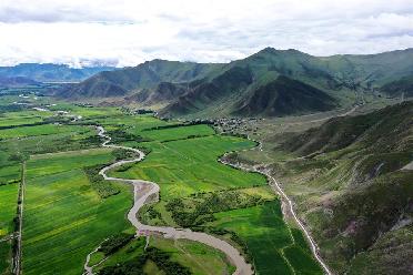 夏日林周风光美
