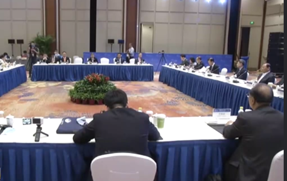 博鳌亚洲论坛2021年年会：华商领袖与华人智库圆桌会举行