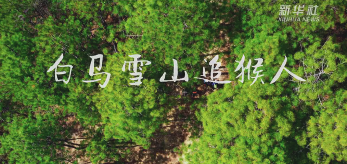 共建地球生命共同体｜白马雪山追猴人