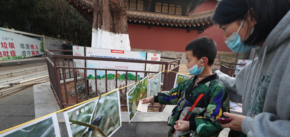 昆明&ldquo;滇池卫士&rdquo;志愿者关注身边的生物多样性